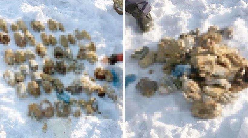 Bαλίτσα γεμάτη κομμένα χέρια βρέθηκε στα σύνορα Ρωσίας-Κίνας – Προσοχή, πολύ σκληρές εικόνες